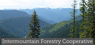 trees and mountains image