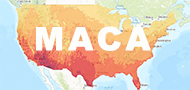 MACA image